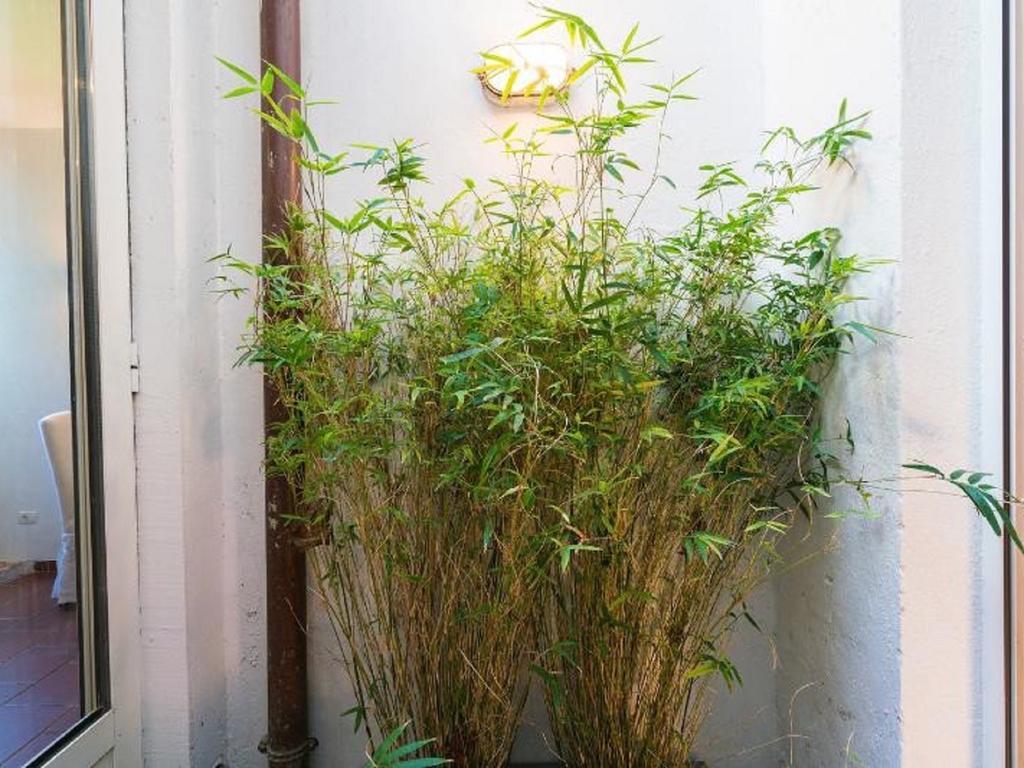 شقة Garibaldi Roof Garden روما المظهر الخارجي الصورة